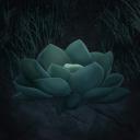 Darkbloom Icon