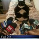 ˜*• ᗩᑎTᖇOᑭᕼOᗷIᗩ •*˜ Icon