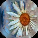 Earl Grey and Camomille Icon