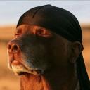 Random Basement Icon