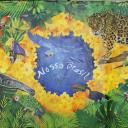 servidor do pachelli Icon