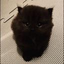 𝙊-𝘽𝙡𝙤𝙘𝙠! Icon