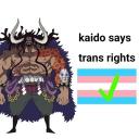 The one piece is real!! Icon