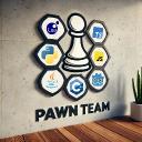 pawn-team Icon