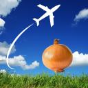 Onion's Aviation Community Icon