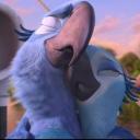 🦜 Los Buenos Latinos de Río 💙 Icon