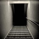 𝐍𝐞𝐱𝐭𝐉𝐞𝐧’𝐬 𝐁𝐚𝐬𝐞𝐦𝐞𝐧𝐭 Icon