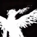 Luciérnagas de Dios Icon