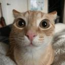 chinese steel factory Icon