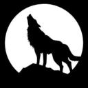 Wolf's Rain Icon