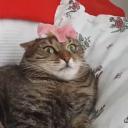 narwal’S Nightclub Icon