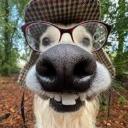 Haterz Playground Icon