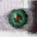 Visual Snow Community Icon