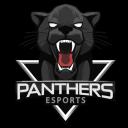 PANTHERS Icon
