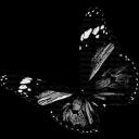 Psychí Society Icon