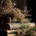 Author Sanctuary Icon