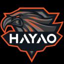 Hayao Icon