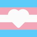 Transtation Central Icon