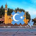 Uighurs Icon