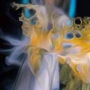 Worldwide Dispensary Icon