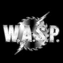 r/WASP_Fans Icon