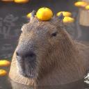 The Capy Cabin 🍊 Icon