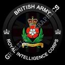 Brtish Army Icon