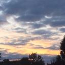 Tye's Pawn Shop Icon