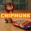 chipmunk Icon