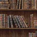 Dusty Library Shelf Icon