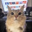 Lixxy's Community Icon