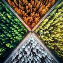 The Atlantis Protocol Icon