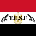 T.E.S.F Icon