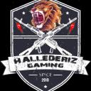 нallederιz ɢaмıɴɢ Icon