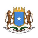 Somalia Icon