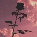 ʜᴠʜ ᴅᴜʀɪɴɢ ᴏᴠᴇʀᴅᴏꜱᴇ✧・ﾟ: * Icon