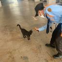 COVID-19 Support Group Icon