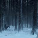 Winter Is Coming Icon