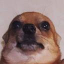 the wlw zone 18+ Icon