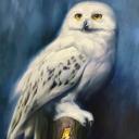 Hedwig Icon