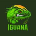 Marriage Iguana Icon