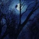 Dawn's Haunted House Icon