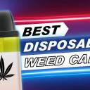 Cartfrs's Server Icon