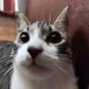 Cantinho do Blox Icon