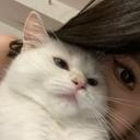 Elifer | global . darting . fun Icon