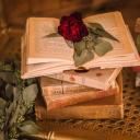 ˚₊‧꒰ა Everwoode ໒꒱ ‧₊˚ Icon