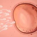 The Natural Order Icon