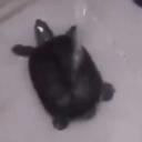 The Boiz Vibe Zone Icon