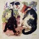 ₊‡・ roots. Icon