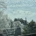 The gaming gang Icon